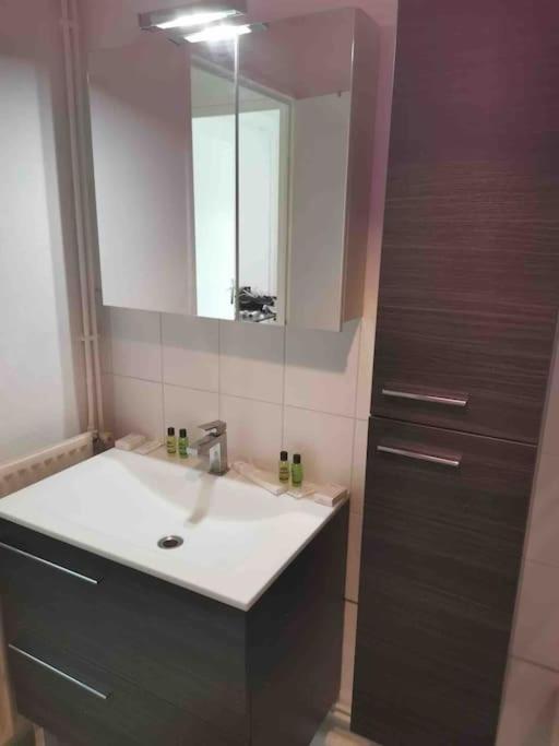 Charmant Appartement Au Calme Bourg-en-Bresse Ngoại thất bức ảnh